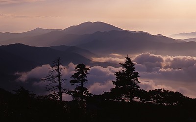 사랑스런 반야..