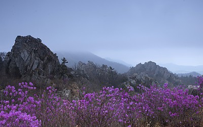 주작산