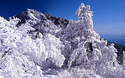 제석봉에서 바라본 천왕봉(6*9)*2