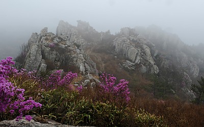 화려한 출발