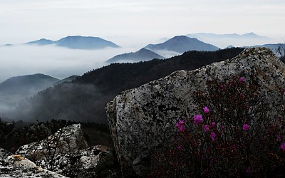 화려한 출발2