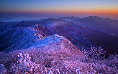 새해 첫 산행