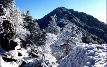 추운날 제석입니다