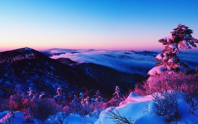 덕유산의 겨울 !