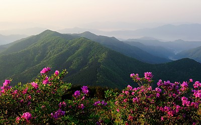 안양산