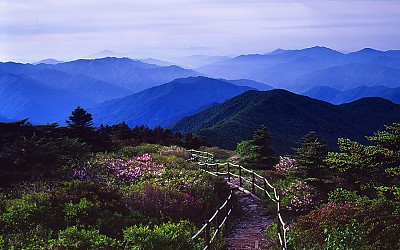 반야봉의 봄!