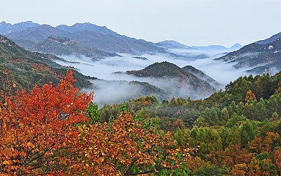 속리산골짜기