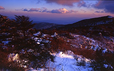 상선대