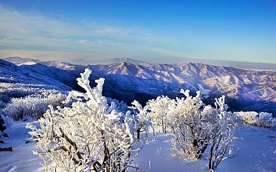태백산