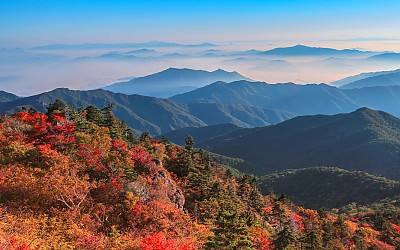 지리산  단풍경