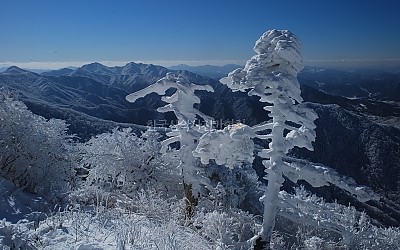 설경