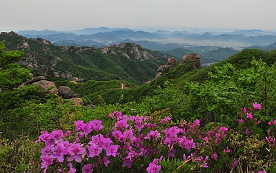 월출에 오르다.