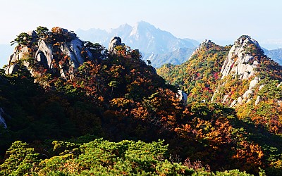 덕유산 핑크빛 상고대