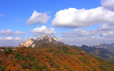 가을 찾아.