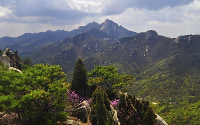 도봉산의 봄
