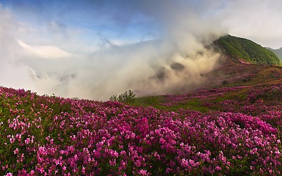 황매산