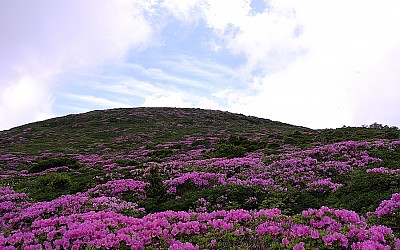 한라산,.