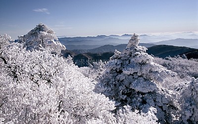 설경