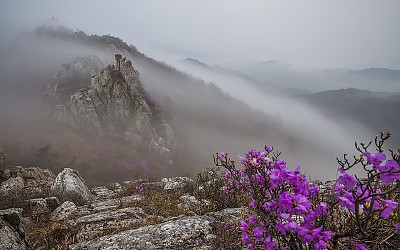 주작산의 구름넘이