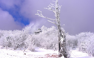 태백산.