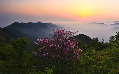 만복대