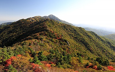 산정의 秋色