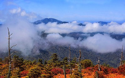 지리산의 가을