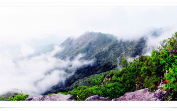 가학산에 봄이 오면