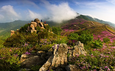 황매산