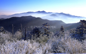 상고대가 있는 아침