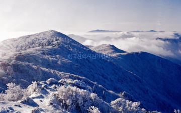 필름현상을 하였는데