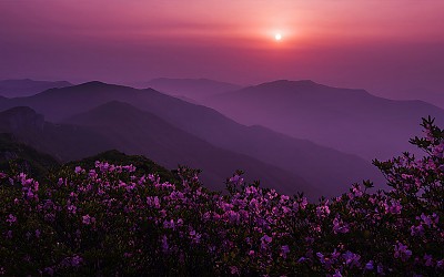 가지산 철쭉과 일출