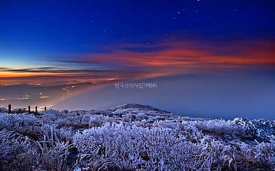 마지막 상고대