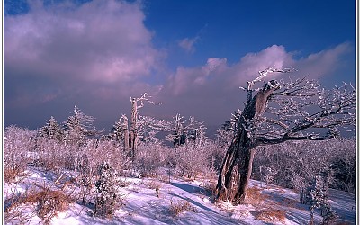 태백산