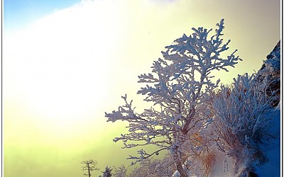 지리산 천왕봉 바다..