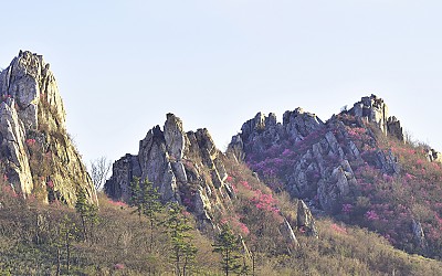 주작산 능선