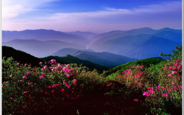 섬진강이 보이는 곳