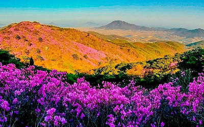 고려산