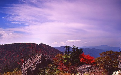 지리산에 가면,
