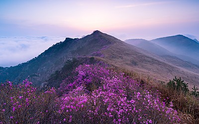 화왕산