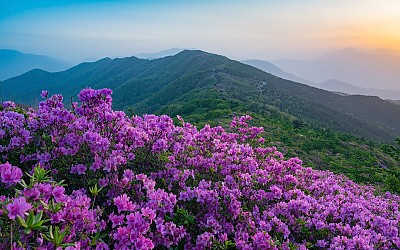 봉화산