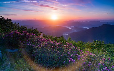 안양산