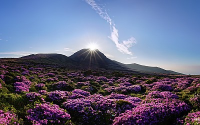한라산
