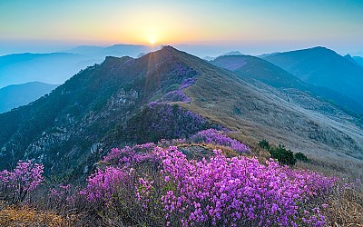 화왕산