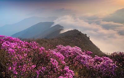 가지산