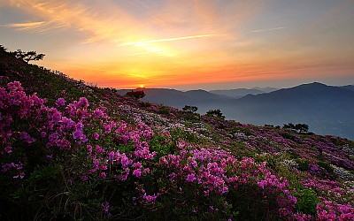 지리산