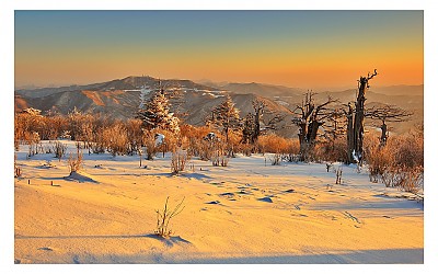 태백산