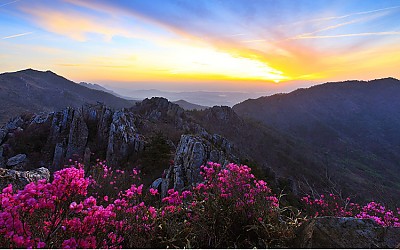주작산