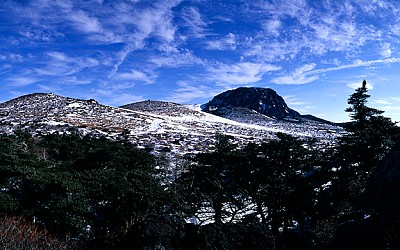 한라산.(묵은지)^(^