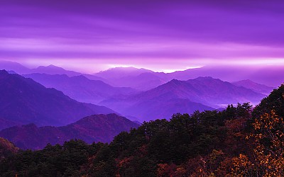 추경...